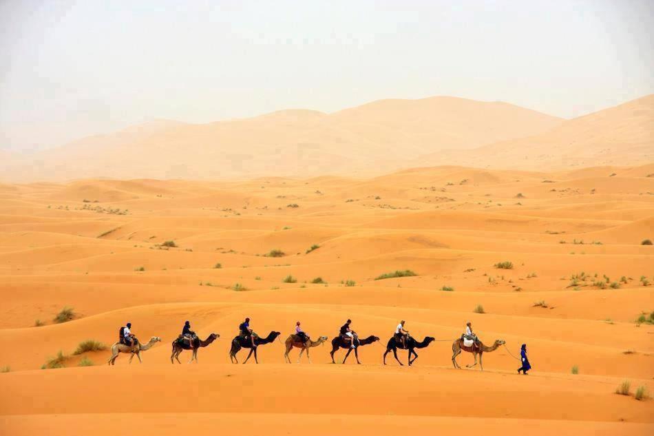 Sand Rose Luxury Camp 메르주가 외부 사진